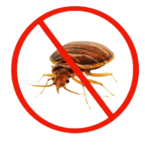 Bed Bugs Control