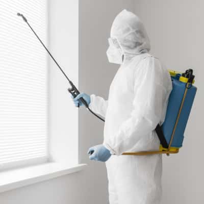 Bedbugs Control Services
