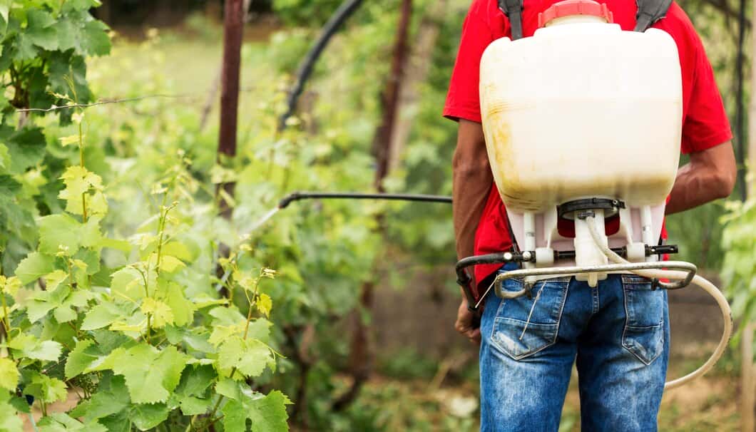 Weed Control Services
